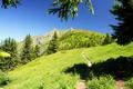 Tourenfotos Kreuzkogel - Schuhflicker - Paarseen