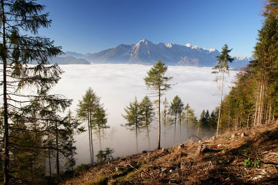 Blick über das Nebelmeer zur Prielgruppe